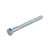 Homefix Houtdraadbout Vz 4.6 Sw-10 Din571 6X80 | 25 stuks - 6702.50.50070