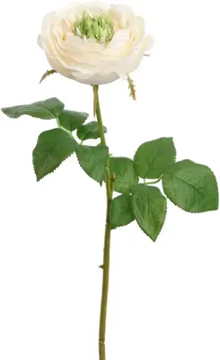 Pure Royal kunsttak roos 52cm crème
