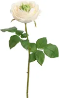 Pure Royal kunsttak roos 52cm crème