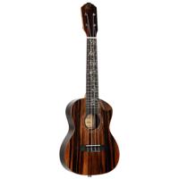 Ortega RUET-EB Elite Series Concert Size Ukulele Ebony elektrisch-akoestische concert ukelele met gigbag