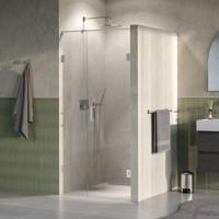 Brauer Void - Nisdeur - 2-Delig - Helder Glas - 100 x 200 cm - Omkeerbaar - met Draaideur 60 cm - Aan Muur - incl. Glascoating - PVD RVS-Kleurig