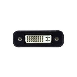 Ewent EW9846 video kabel adapter 0,15 m DisplayPort DVI Zwart