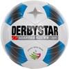 Derbystar 286003 Adaptaball TT Light - Wit - 5