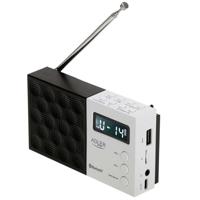 Radio Adler pll fm ad 1908 Zwart Wit