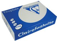 Clairefontaine Trophée Pastel, gekleurd papier, A4, 210 g, 250 vel, lichtgrijs - thumbnail