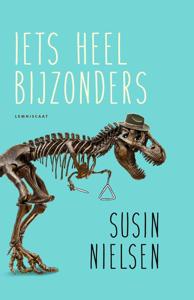 Iets heel bijzonders (Hardback)