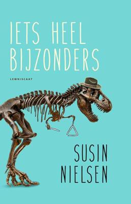 Iets heel bijzonders (Hardback)