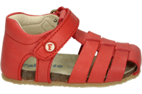 Falcotto ALBY - alle