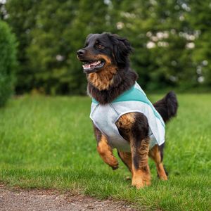 Ruffwear Honden-koelvest Swamp Coolerâ„¢ Vest, grijs, Maat: L