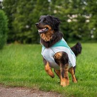 Ruffwear Honden-koelvest Swamp Cooler™ Vest, grijs, Maat: M - thumbnail