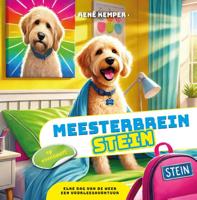 Meesterbrein Stein (Hardback)
