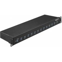Delock 64039 19 Industriehub 13 x USB 3.1 Gen 1 Type-A
