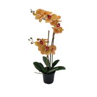 Phalaenopsis Orchidee in pot x2 50 cm Tiger Yellow kunstplant Buitengewoon de Boet - Buitengewoon de boet