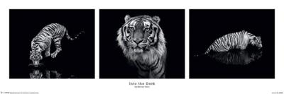 Poster Marina Cano Into the Dark 91,5x30,5cm