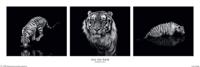 Poster Marina Cano Into the Dark 91,5x30,5cm