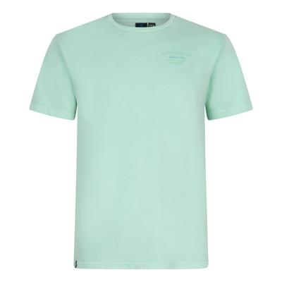 Oversized T-Shirt Rllx Fresh Mint