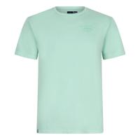 Oversized T-Shirt Rllx Fresh Mint