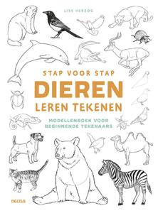 Stap voor stap dieren leren tekenen (Paperback)