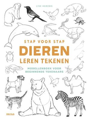 Stap voor stap dieren leren tekenen (Paperback)