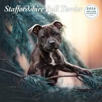 Staffordshire Bull Terrier Kalender 2026 Deluxe Staffordshire Bull Terrier Kalender 2026 Deluxe