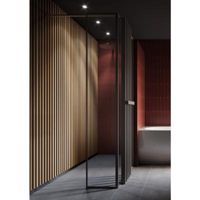 Glaspaneel Riho Define Incl. H-Profiel en Hoekprofiel 40x200 cm Mat Gunmetal