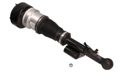 Pneumatische veerpoot 110581