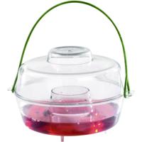 Guard and Care Wespenvanger - kunststof - 13 cm - wespenval