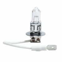 Gloeilamp voor de auto M-Tech Z903