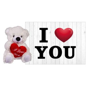 Pluche knuffel Valentijn I Love You beertje 22 cm met hartjes wenskaart