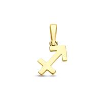 14k Geelgouden Hanger Sterrenbeeld Boogschutter - Per Stuk