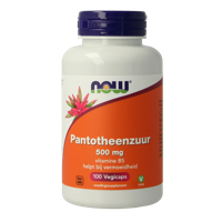 Pantotheenzuur 500mg (B5) 100 Capsules