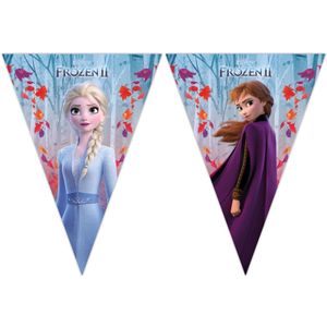 2x Disney Frozen 2 feest vlaggenlijnen 2 meter   -