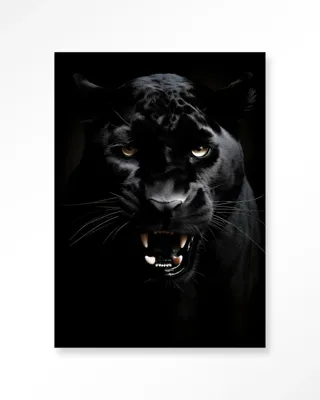 Rawr Panther