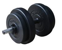 Dumbellset RS Kunststof 15 KG - thumbnail