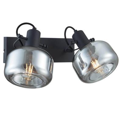 Steinhauer Dubbele wandlampGlaslic smoke glas - 3865ZW