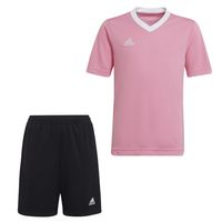 adidas Entrada 22 Trainingsset Kids Roze Zwart Wit - thumbnail