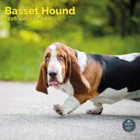 Basset Hound Kalender 2026