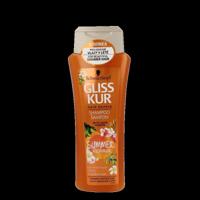 Shampoo summer repair 250 Milliliter
