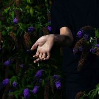 In Velvet - CD (5414165117636) - thumbnail