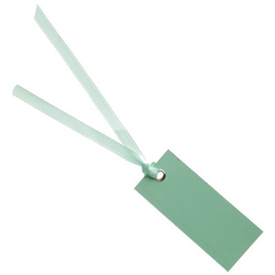 Santex cadeaulabels met lintje - set 12x stuks - mint groen - 3 x 7 cm - naam tags