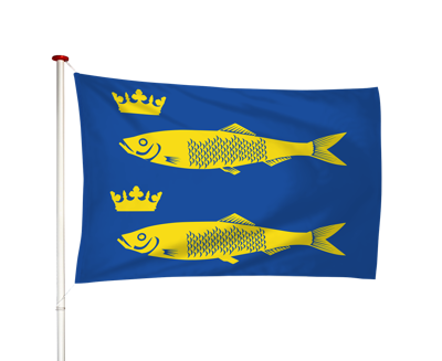 Vlag De Rijp Vlag De Rijp