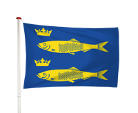 Vlag De Rijp