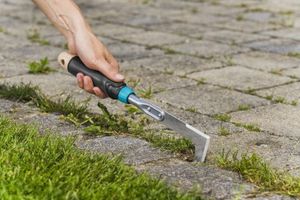 GARDENA EcoLine Onkruidsteker voor de Patio voegenkrabber 17704-20