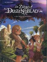 Een villa vol raadsels (Paperback)