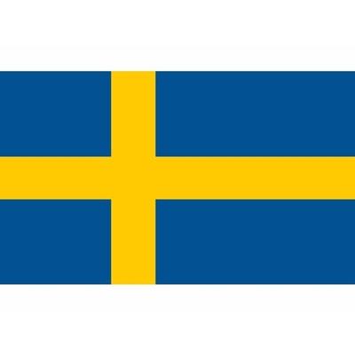 Vlag van Zweden - klein formaat - 60 x 90 cm - polyester