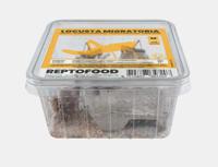 Reptofood Reptofood Sprinkhanen Bakje M