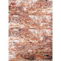 Bresser BR-S1040 Achtergrond 180x250cm