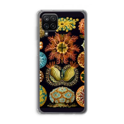Haeckel Ascidiae: Samsung Galaxy A12 Transparant Hoesje