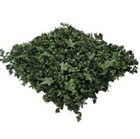 EasyLawn Grass Kunstplantenmat wandplant kunststof Hydranchea 1m2 - Easylawn grass EasyLawn Grass Kunstplantenmat wandplant kunststof Hydranchea 1m2 - Easylawn grass