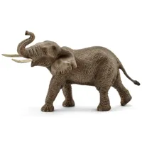 Afrikaanse olifant, mannetje 14762